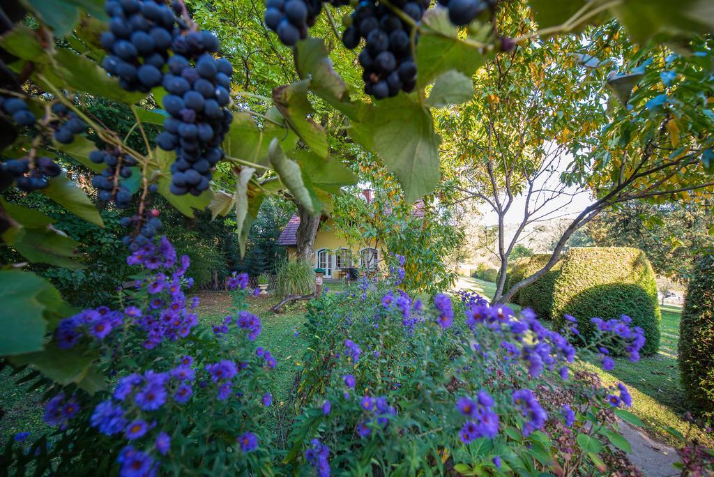 Вилла Winemakers Escape Глайсдорф Экстерьер фото